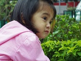 [Click for large photo]